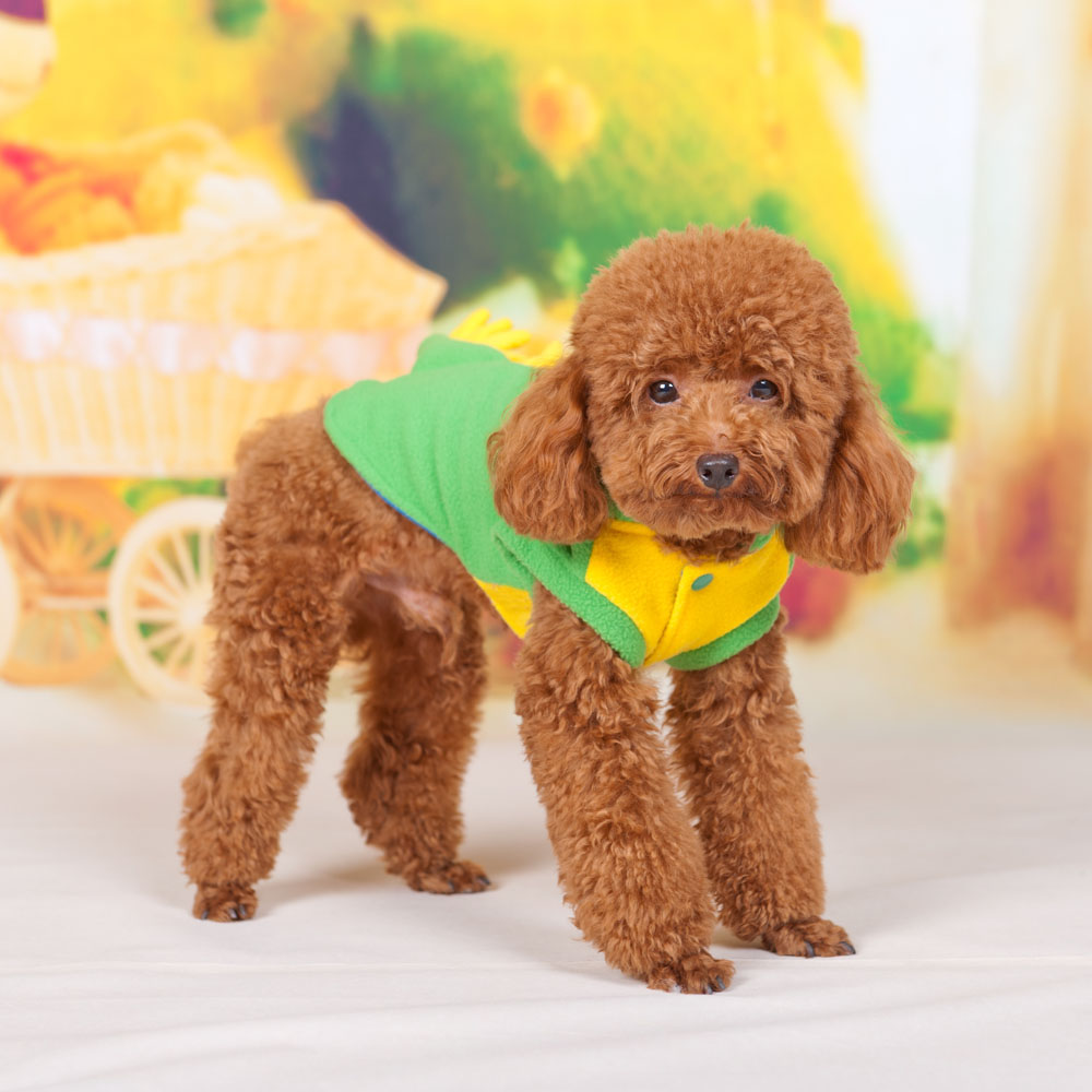unknown Fashion Cute Dog Clothes Green Dinosaur Dino Style Puppy Coat Pet Jumpsuit Dogs Apparel L/XL/XXL